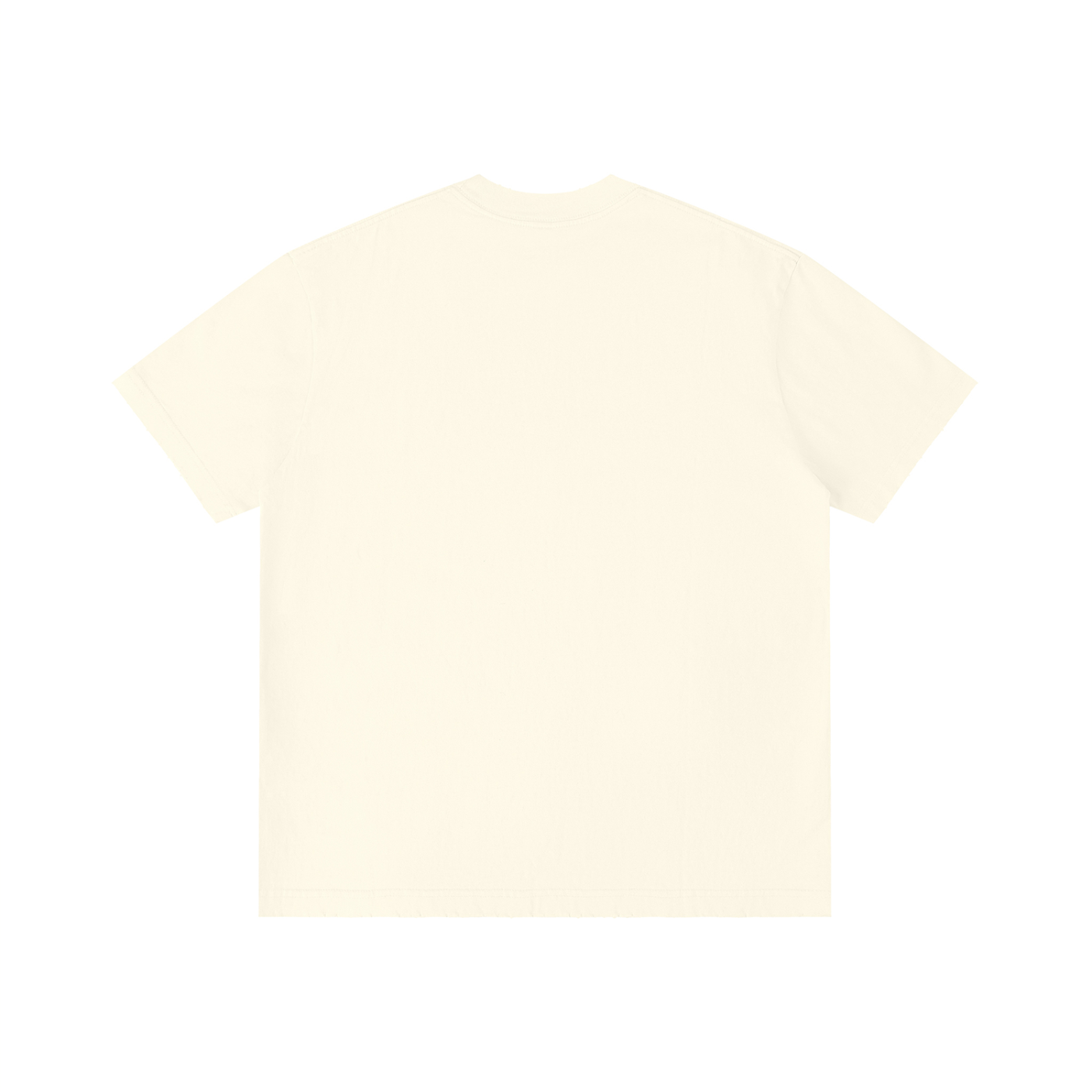 STAY SOULTY - Vintage Wash Distressed Tee