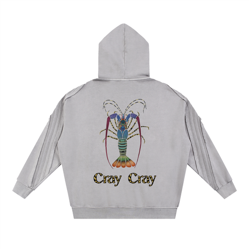 CRAY CRAY - Thick Snow Washed Distressed Zip Hoodie