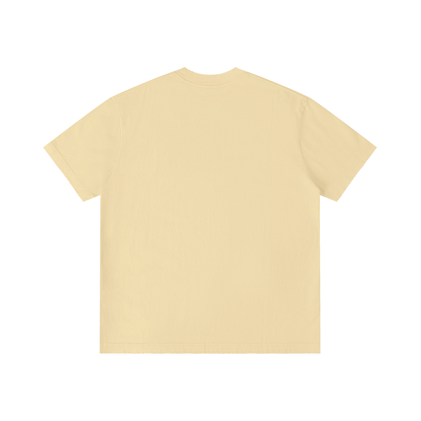 STAY SOULTY - Vintage Wash Distressed Tee