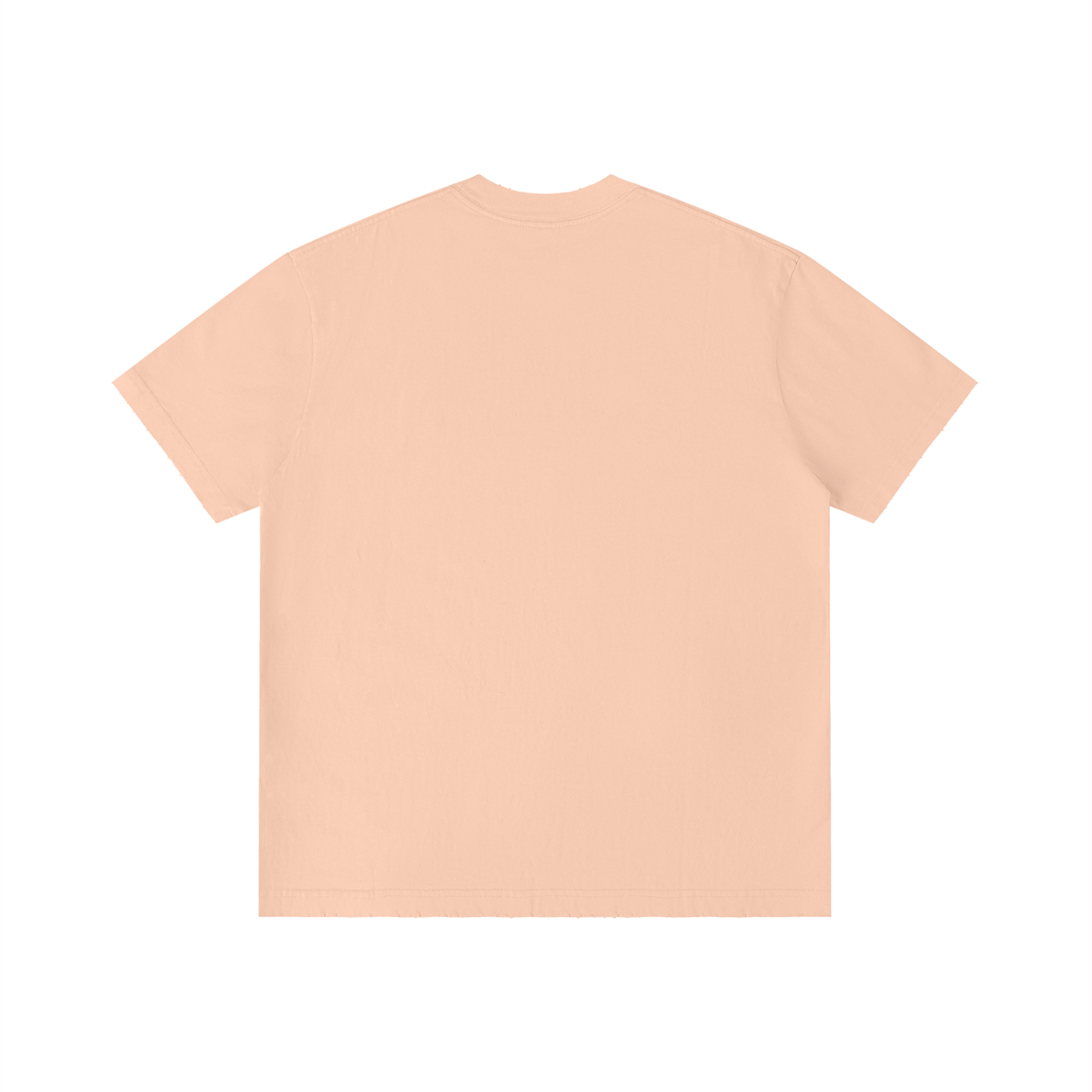 STAY SOULTY - Vintage Wash Distressed Tee